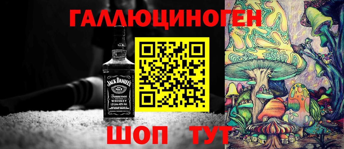 Зеленогорск  Галлюциногенные грибы мухоморы  Вход с VPN 
